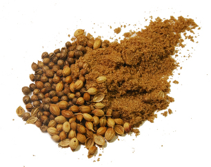 The coriander seeds of the parasites